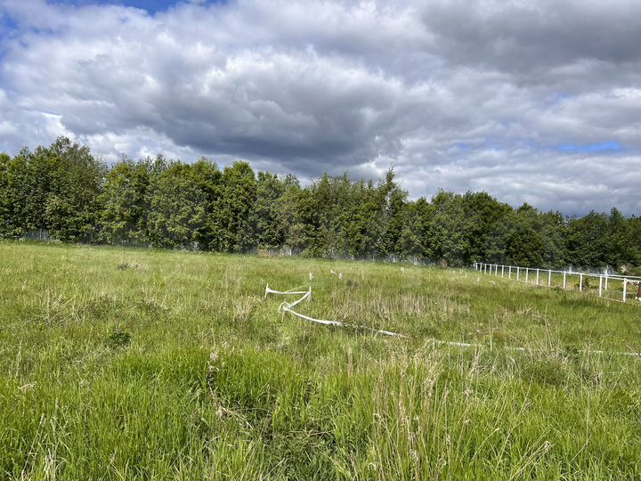 Участок 12,5 сот. (СНТ, ДНП)