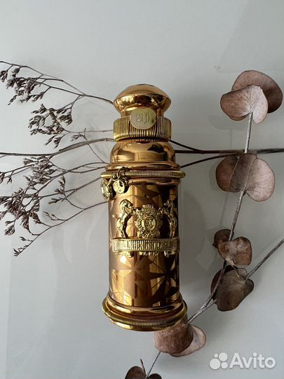 Alexander J оригинал