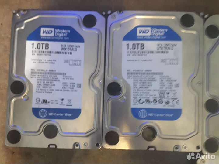 Жесткий диск