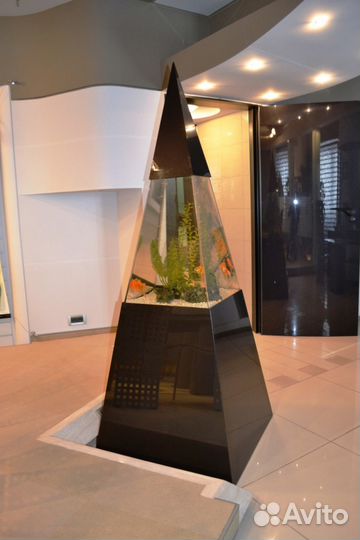 Чистка и обслуживание аквариумов на дому и в офисе