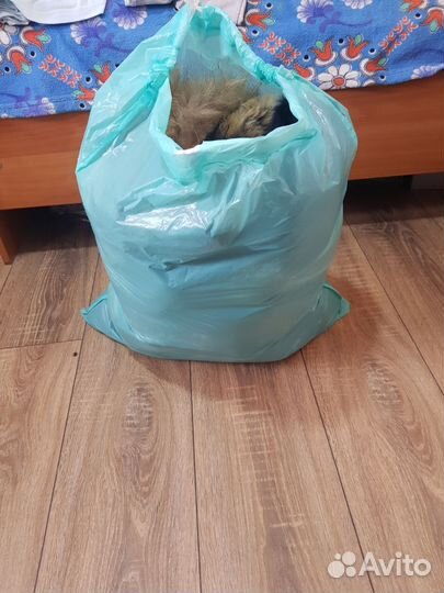 Шкурка животного, воротники, опушки 25 штук пакет