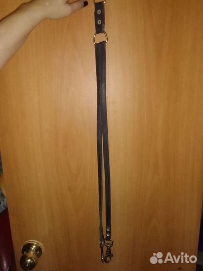 Сворка для собак