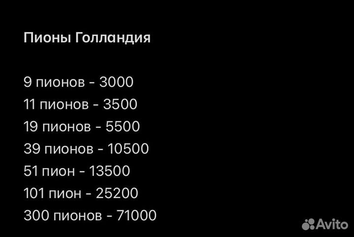 Пионы оптом