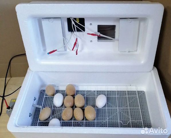 Инкубатор для яиц новый