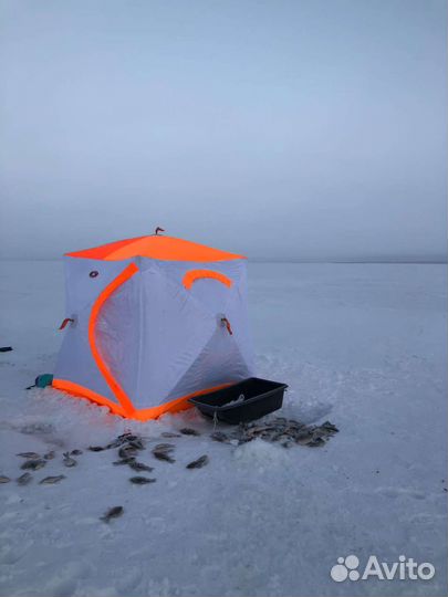 Зимняя палатка Медведь куб-2