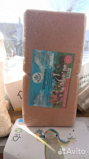 Зерно пшеница ячмень кукуруза