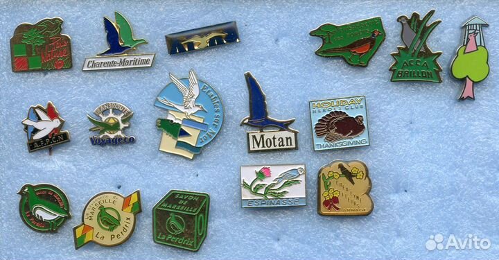 Значки Совы Аисты Попугаи Птицы Орнитология