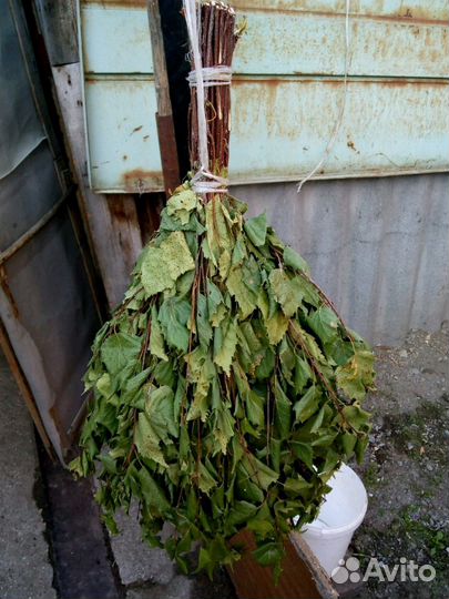 Веники березовые цена за пару