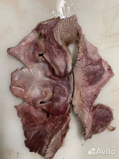 Губонос говяжий,без костей