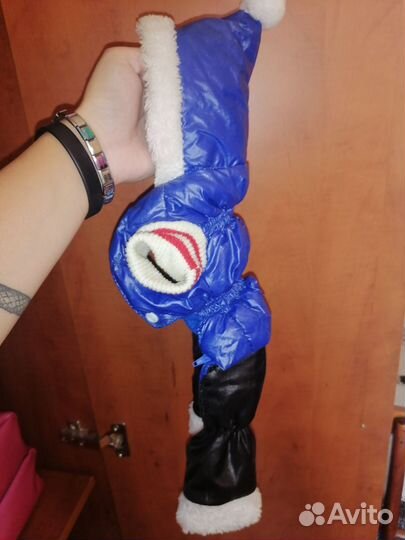 Одежда для маленькой собачки