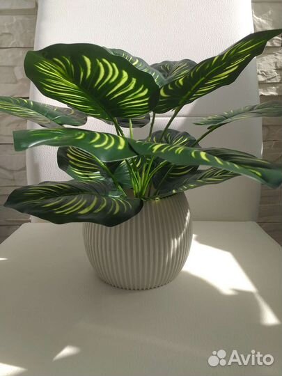 Искуственные растения