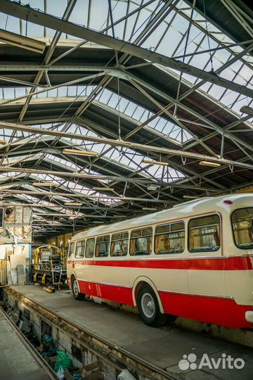 Автоэлектрик с выездом только оживление авто 24 7