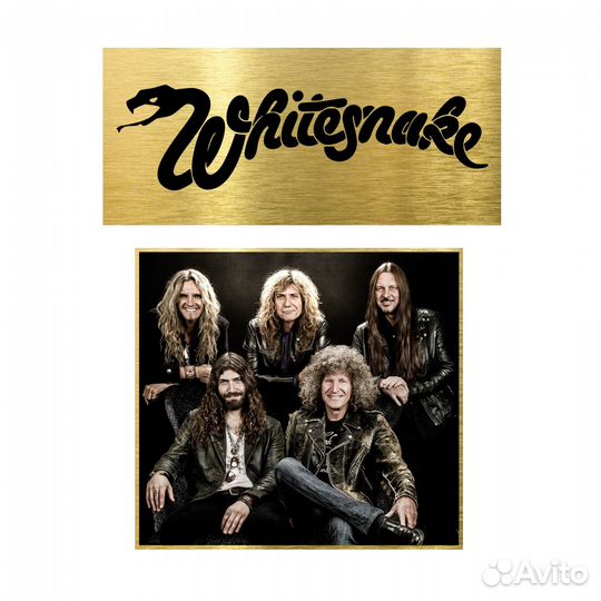 Whitesnake The purple tour золотой диск в рамке