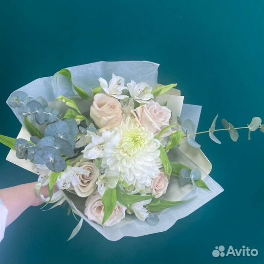 Хризантема