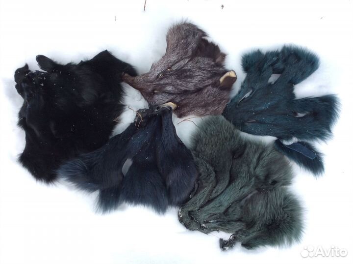 Натуральный Мех лисы. Чернобурка. Кусочки меха