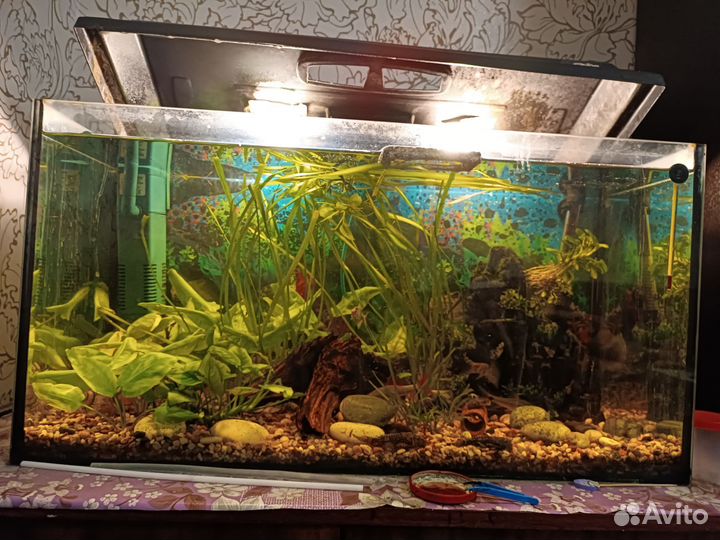 Аквариум
