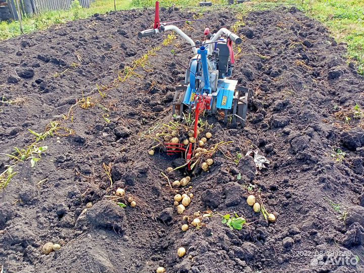 Вспашка мотоблоком