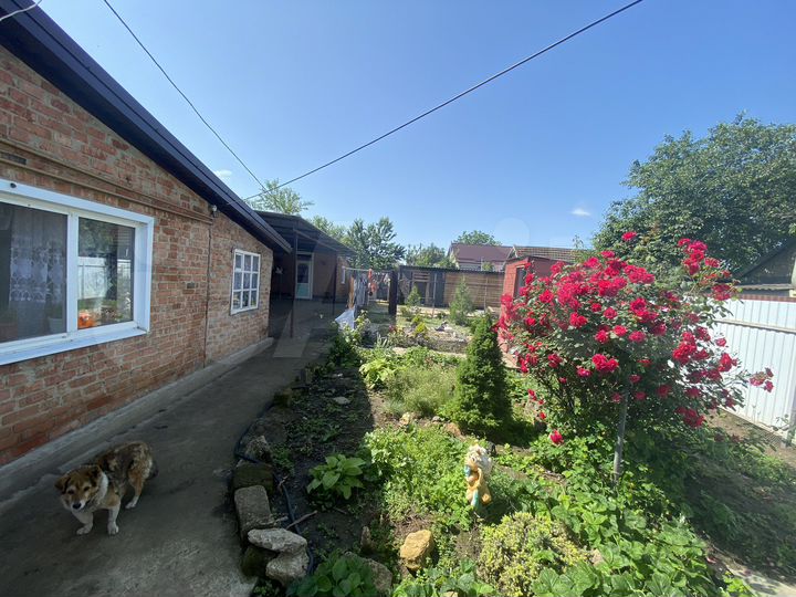 Дом 48,2 м² на участке 4,13 га