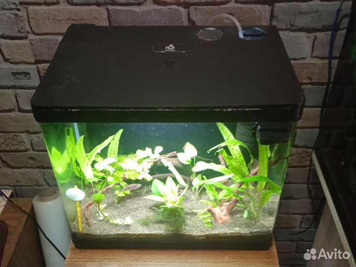 Украшение для аквариума