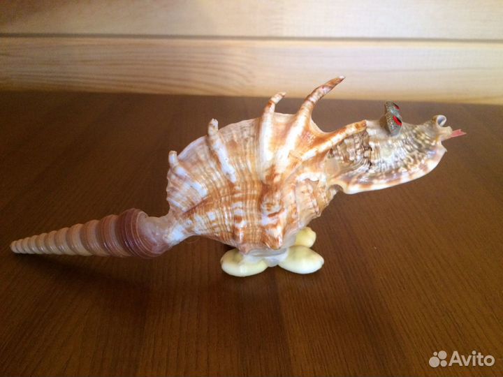 Ракушки и фигурка для аквариума или для интерьера