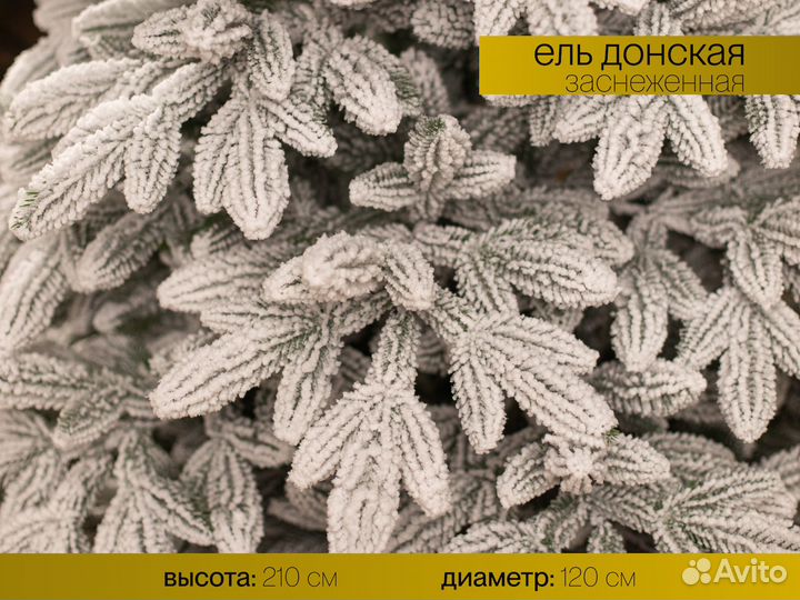 Донская, елка литая заснеженная 210 см ёлушка