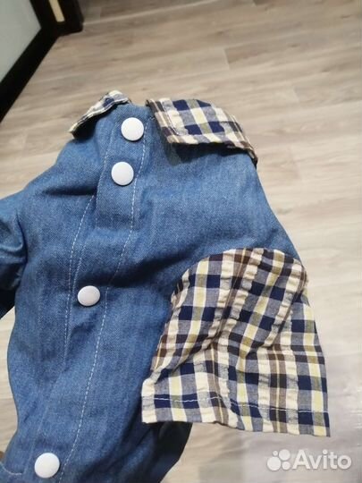 Рубашечка на собачку