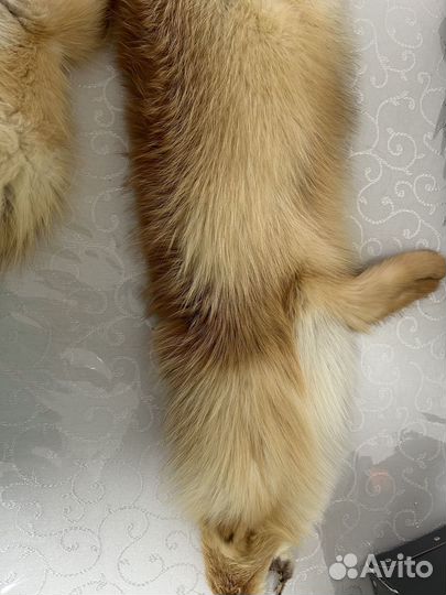 Шкурки лисы