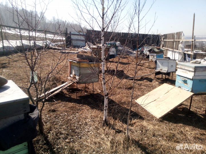 Продам ульи для пчел