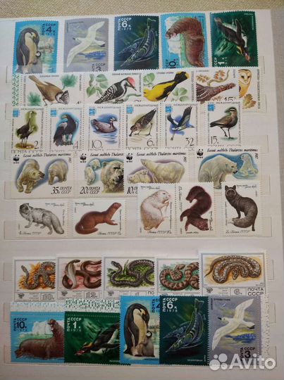 Почтовые марки фауна, флора