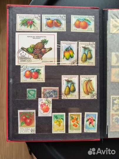 Почтовые марки с природой. Альбом целиком