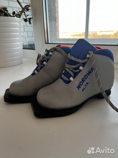 Лыжные ботинки nordway 31