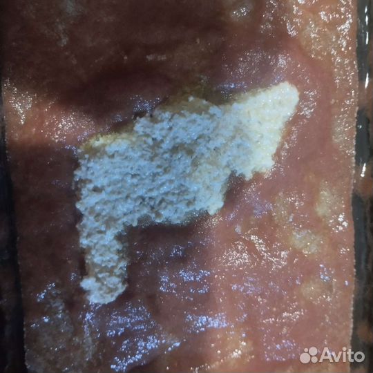 Живой корм, растения, рыбки