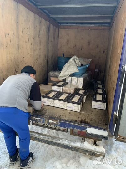 Грузоперевозки газель, эвакуатор, портер термобудк