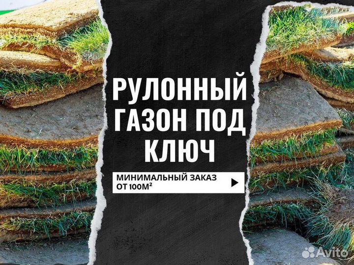 Продажа рулонного газона под ключ