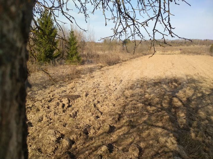 Участок 15 сот. (ИЖС)