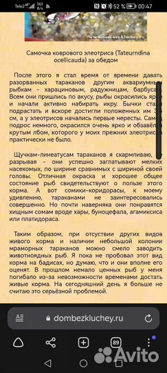 Корм для цихлид животноядные рыб приманка