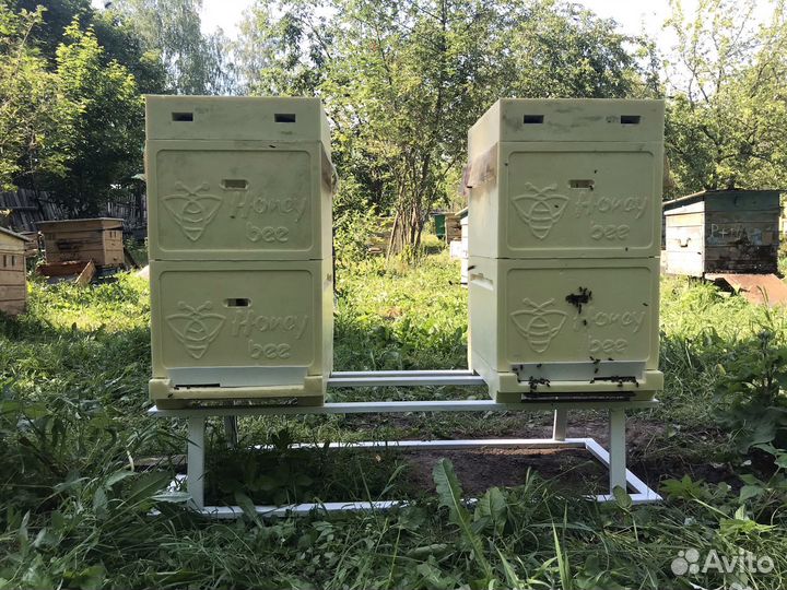 Пчелы пасека