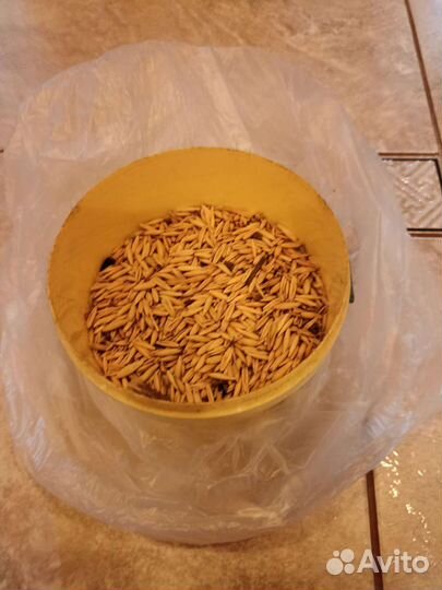 Клетка для попугая