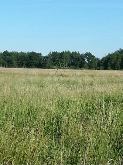 Участок 7 га (СНТ, ДНП)