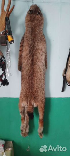 Шкуры диких животных