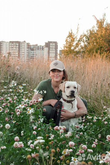 Кинолог. догтренер. Дрессировка собак. Выгул