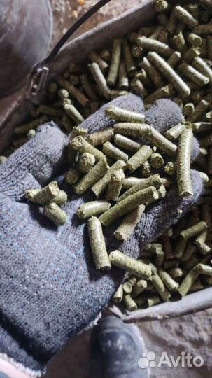 Сено Люцерна