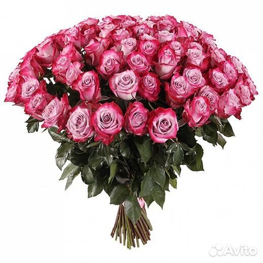 Букет из 51 розы Натали 50 см