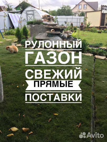 Рулонный газон