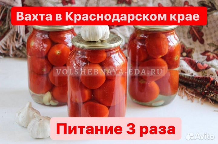 Требуются разнорабочие Работа вахтой