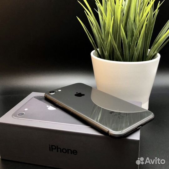 iPhone 8, 64 ГБ