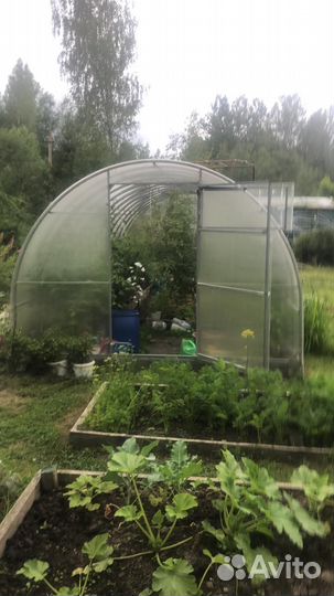 Теплица цена
