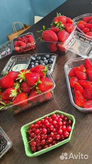 Свежая клубника Армения