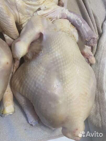 Мясо домашнего бройлера