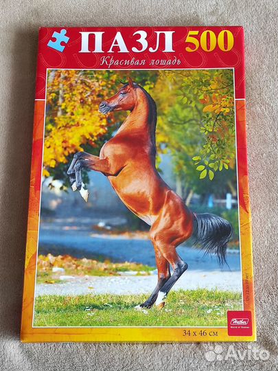 Пазл «Красивая лошадь» 500 элементов
